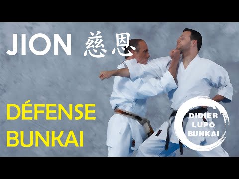 JION Défense et Bunkaï par Didier Lupo